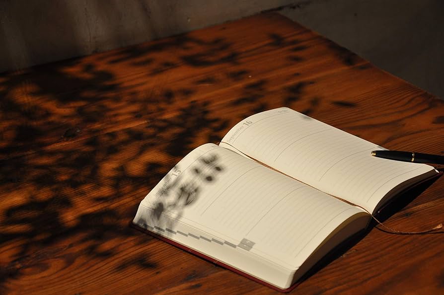 Amazon.com : 3-Years Diary, Journal, Hard Cover, Product of